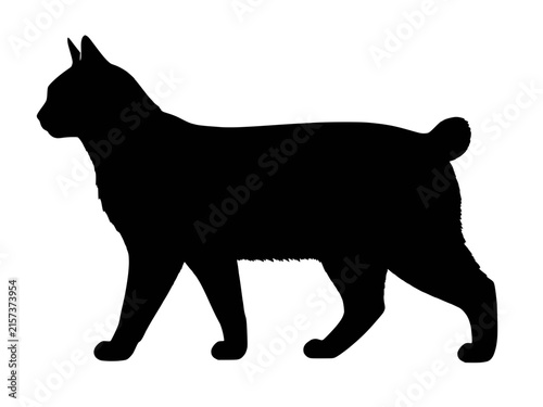 Konstfotografi American Bobtail cat silhouette vector icon, muscular short tail feline breed wa