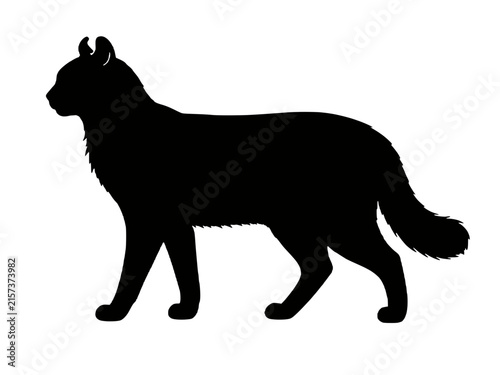 Foto American Curl cat silhouette vector icon, feline breed with curled back ears wal