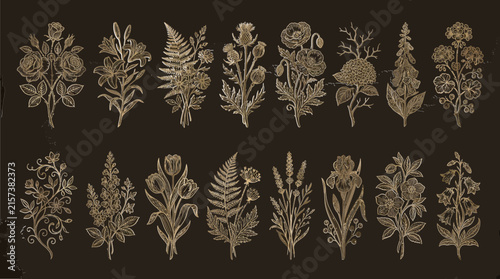 A premium antique botanical illustration set containing completely different floral and foliage ornaments 