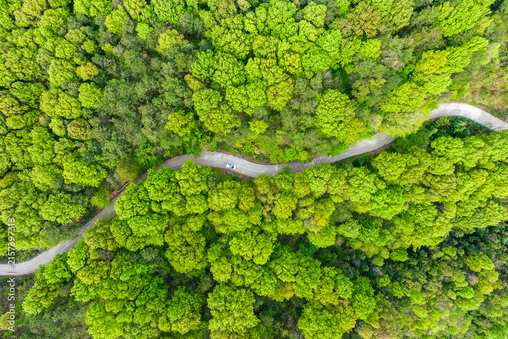Fototapeta premium A winding paved road cuts through a lush green forest, captured from an aerial perspective, with a small vehicle traveling along the curved path.