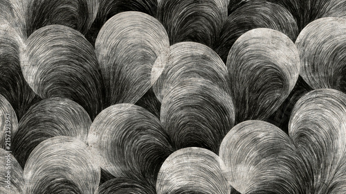 Black and White Abstract Geometric Pattern with Curved Shell Textures