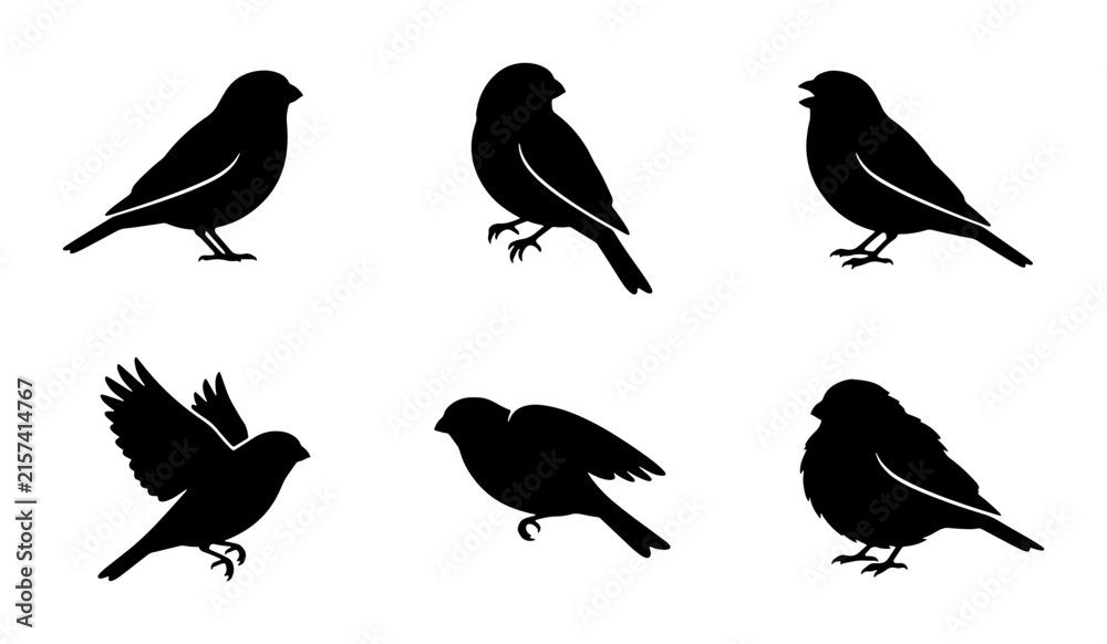 Fototapeta premium Bird Silhouettes Vector Set: Small Songbirds in Various Poses, Flying and Perched