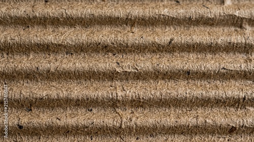Close-up of brown corrugated cardboard texture. Wavy cardboard surface background.