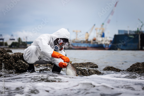 Quadro su tela Environmental scientist wearing protective equipment examines a dead fish on a polluted shoreline near an industrial harbor