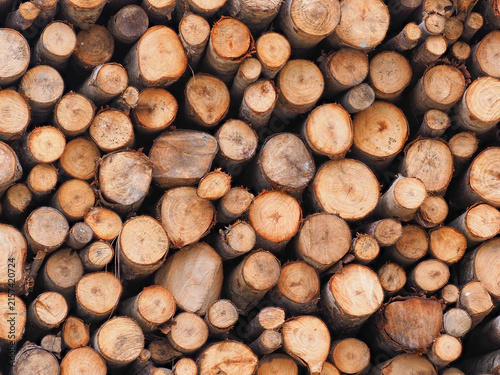 Photography Pattern background of cut round timber logs stacked together in cross-section view