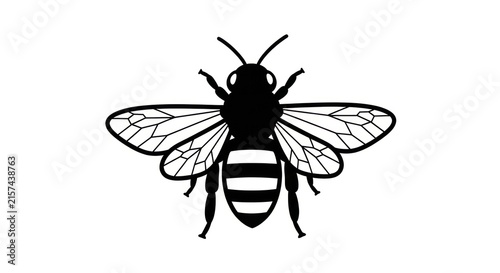Black silhouette of a bee insect.