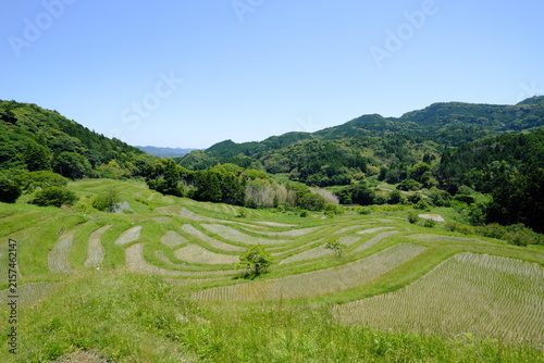 千葉県鴨川市大山千枚田の風景
