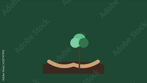 Animated tree growing and moving in soil flat motion animation 4k nature