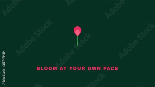 Bloom at your own pace minimalist animation with pink flower and inspirational typography on dark green 4k background