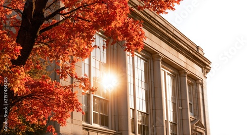 Sunlit classical building facade adorned with vibrant autumn foliage