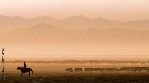 unanimity. A lone rider herds cattle across a vast desert ranch at dusk. wildlife magazines, conservation campaigns, designed for nature documentaries and education, celebrates biodiversity.