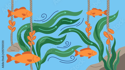 Underwater ecosystem illustration featuring fish, seaweed, and mussel farming on ropes.