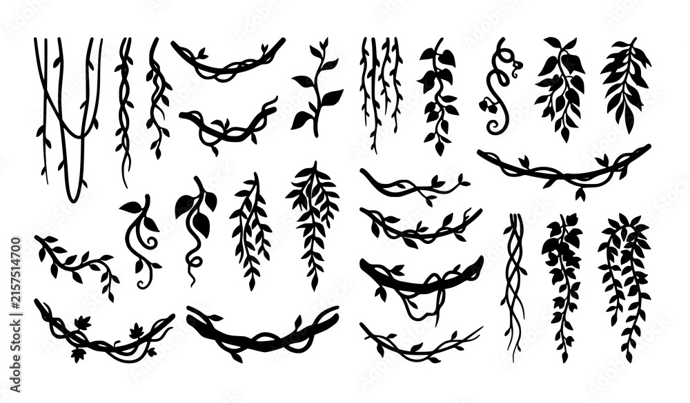 Fototapeta premium Tropical Jungle Liana and Hanging Vine Silhouette Vector Collection Rainforest Plant Elements