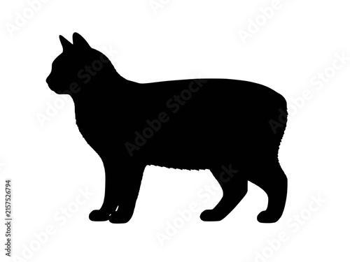 Cuadro en lienzo Manx cat silhouette vector icon, round tailless stocky feline breed walking side