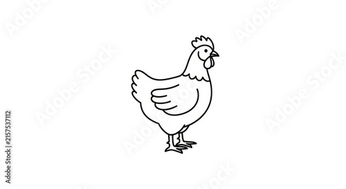 Bild auf Leinwand Illustration of a single chicken standing.