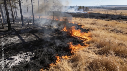 Forest and field fire. Dry grass burns, natural disaster. Aerial view. After the fire, the ground is covered with a black layer of burning and ash. View vertically down