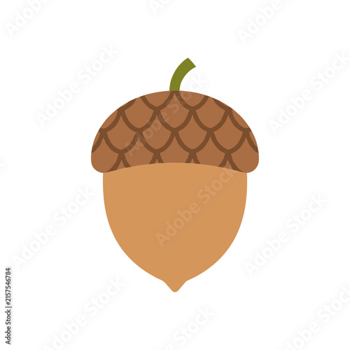Brown acorn icon with a textured cap and small green stem is isolated on a clean white background for autumn design.