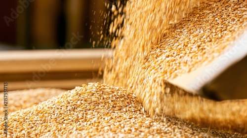 harvester. Golden wheat grains pouring from a harvester, forming a mound. menu design, packaging mockups, designed for culinary blogs and recipe cards for restaurants, used by event planners.