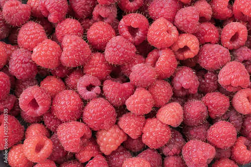 Fresh ripe raspberries photographed close up as a natural food background. Detailed texture of juicy berries representing healthy eating and summer harvest.