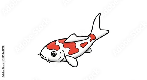 Colorful Koi Fish Swimming Horizontally.