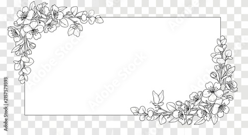 Hand drawn floral frame with butterflies and leaves on transparent background
