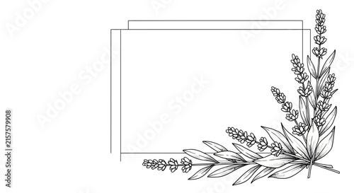 Hand drawn floral frame corner with blank paper for text message