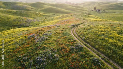 Aerial view of winding dirt road through wildflower covered rolling hills