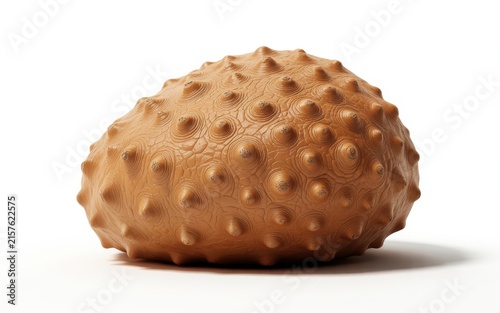 Organic brown textured pod with protruding circular patterns and bumps.