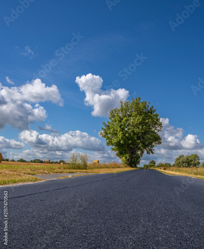 Fotografía Landstraße im Land Brandenburg, Deutschland, Europa