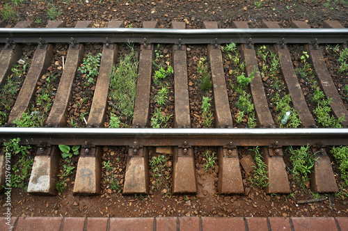 Quadro su tela Abandoned railway tracks with growing grass and weeds on rustic background