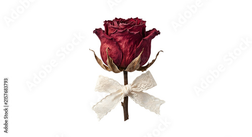 Obraz na płótnie Dried red rose with a lace bow on transparent background