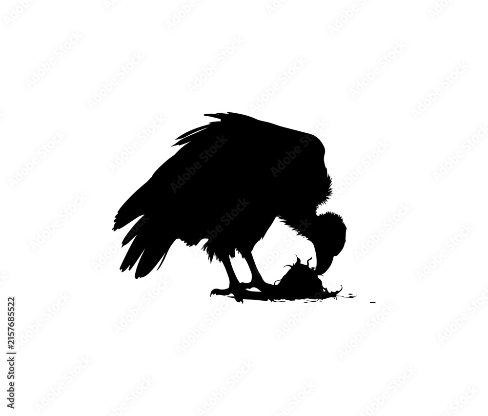 Fototapeta premium Black silhouette of a vulture standing on the ground with its head lowered, transparent background, vulture silhouette