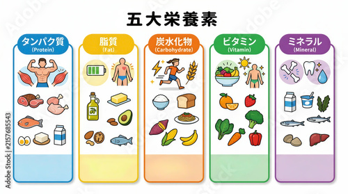 5大栄養素イメージ