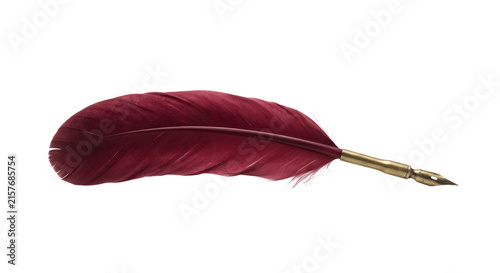 Canvas Print Burgundy red quill pen with brass nib on black background