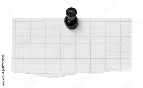 Ruled pinned torn paper note with pin or thumbtack with copy space for text, isolated cut out transparent png background design element