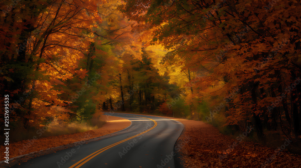 Naklejka premium Winding Road Through Vibrant Autumn Forest
