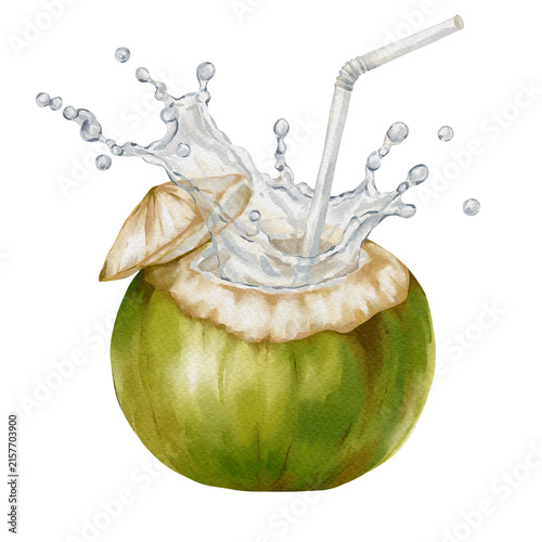 Watercolor illustration of a fresh green coconut filled with coconut water and a straw, surrounded by refreshing splashed coconut water. Refreshing drink for summer isolated on white background.