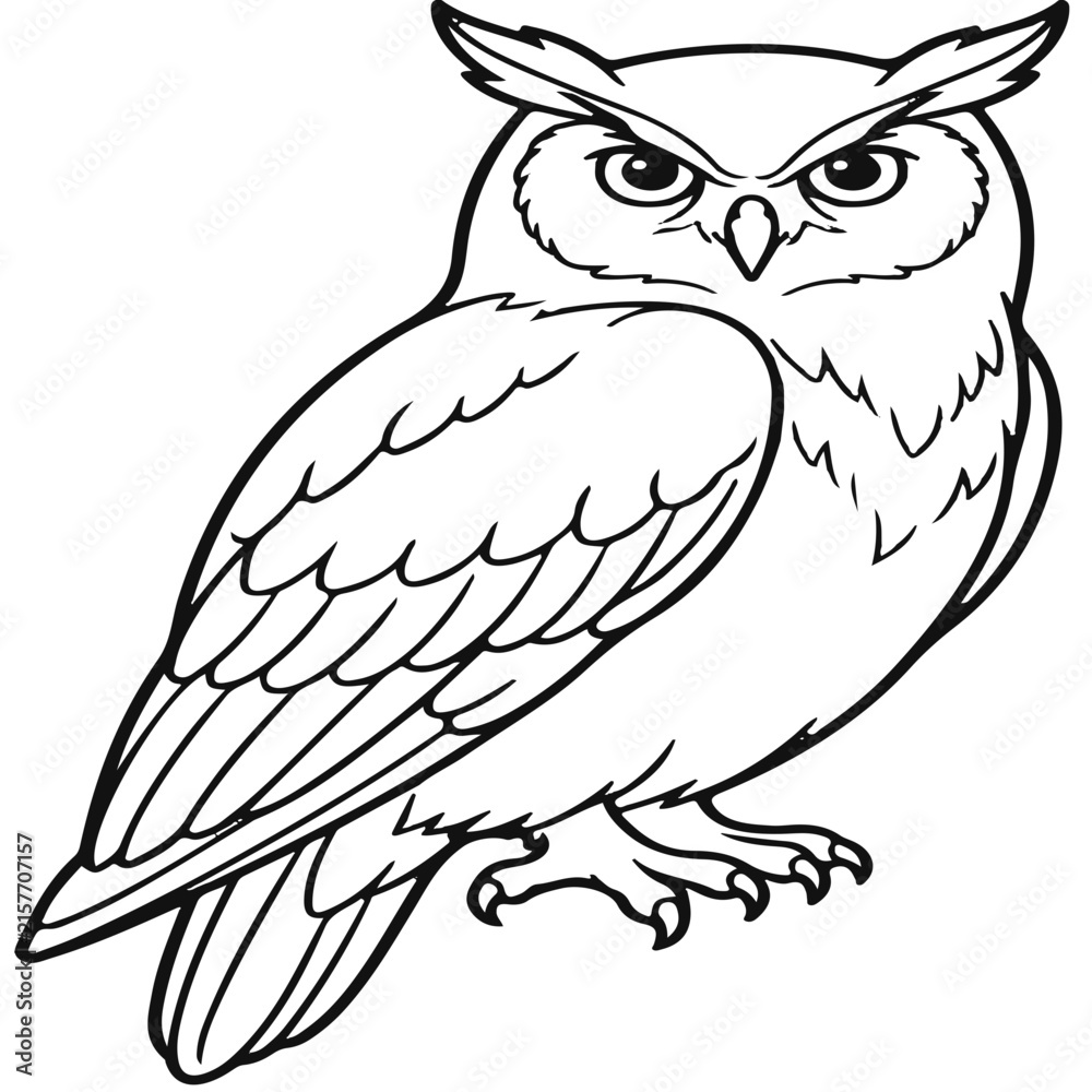 Fototapeta premium owl on a branch