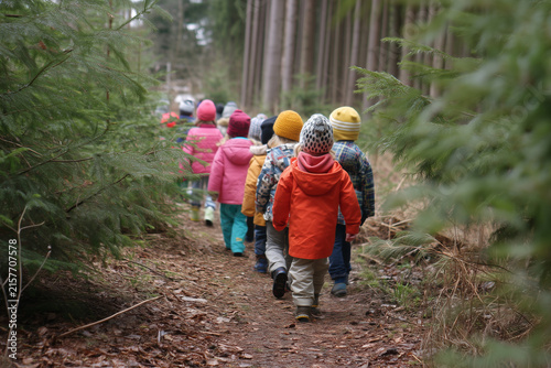 Group of small preschool children wearing warm colorful winter jackets and knit hats walking together along a pine forest path outdoors