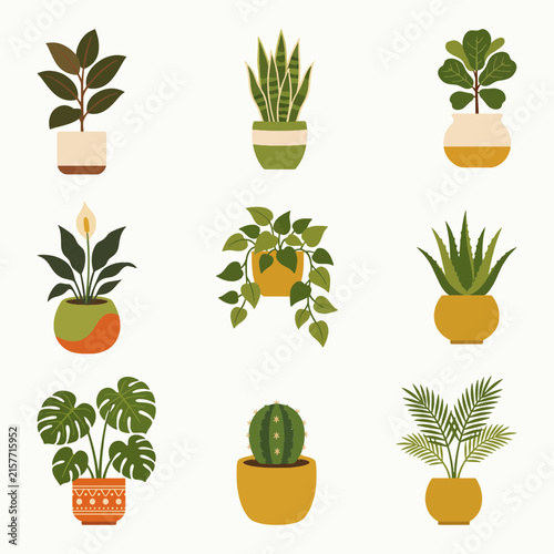 Aesthetic Potted Houseplants Set Vector Illustration