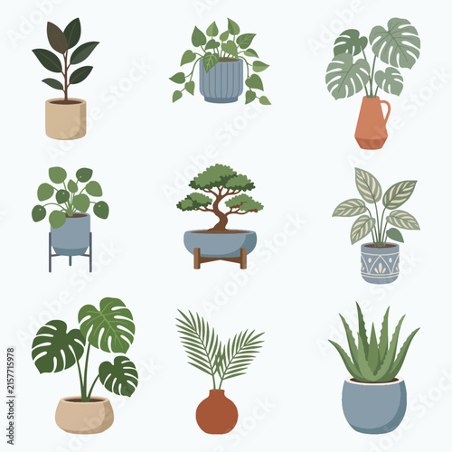 Minimalist Potted Plants Collection Flat Vector Illustration Set