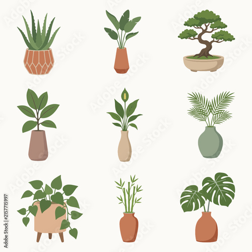 Indoor Plants and Bonsai Tree Vector Collection Set