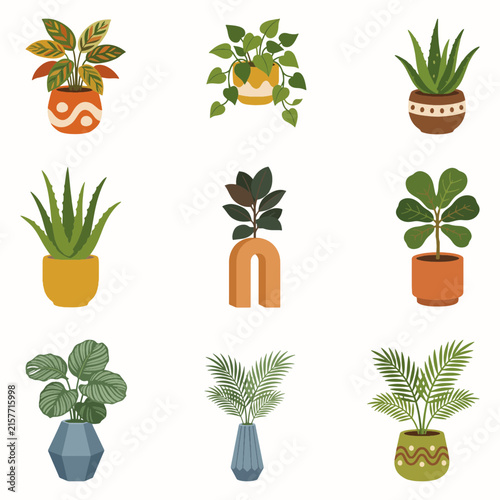 Modern Indoor Potted Plants and Palm Leaves Vector Set