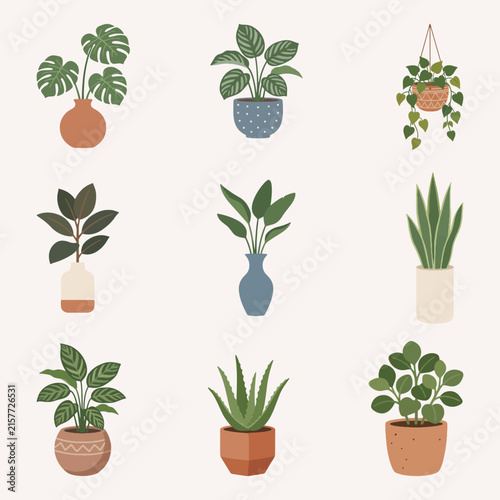 Potted Houseplants Collection Set Vector Design