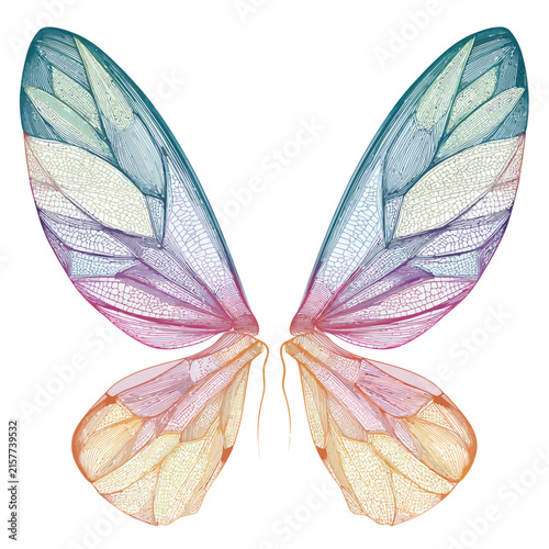 Ethereal Fairy Wings with Pastel Gradient