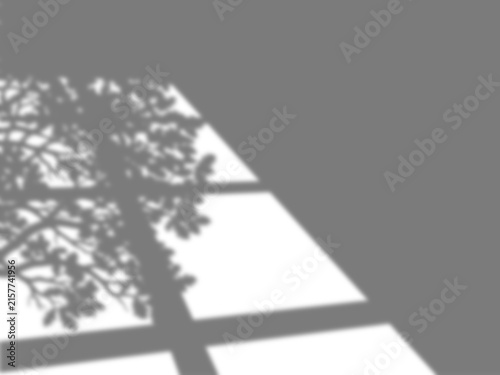 Foto Soft morning sunlight casting window frame and tree foliage branch shadows diago