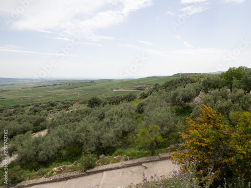 Entorno de la ciudad romana de Dougga, en Túnez, África