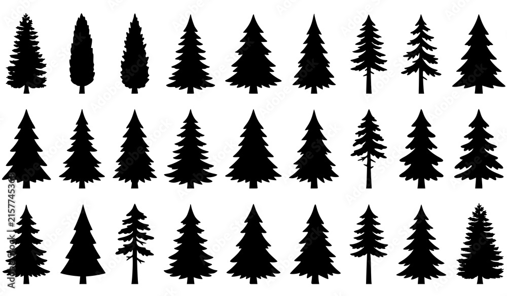 Fototapeta premium Set of black silhouettes of various coniferous trees isolated on a white background for design