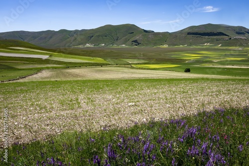 Monti Sibillini Nationalpark, Italien, im Frühling