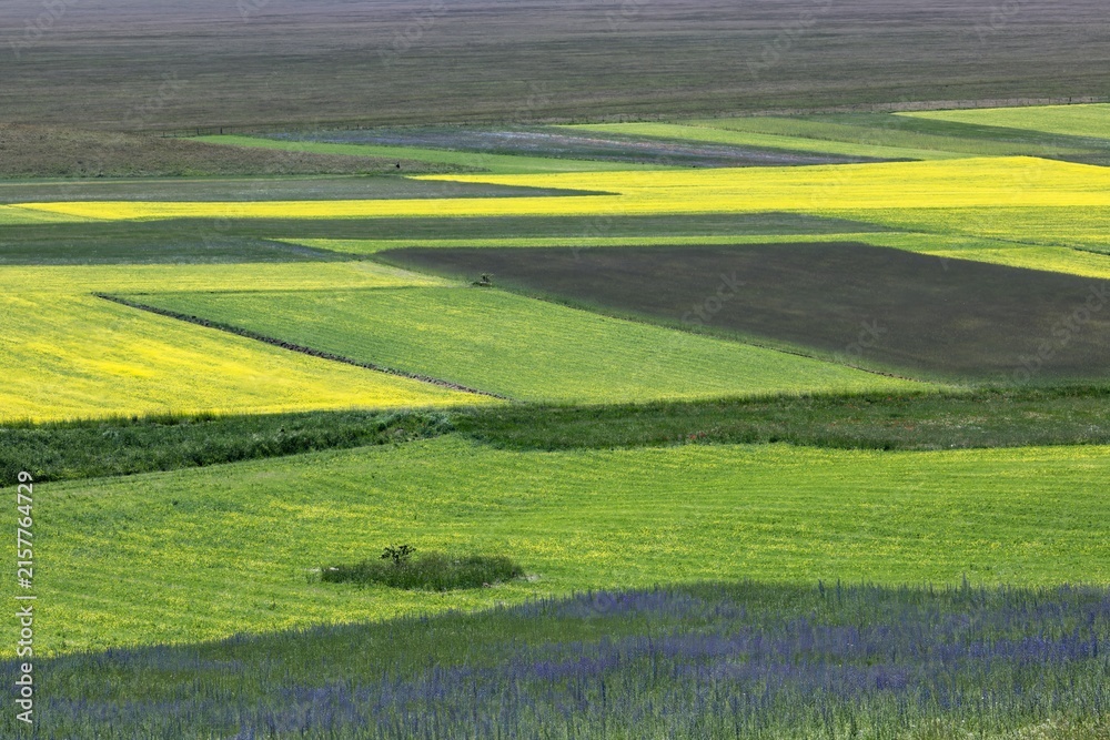 Fototapeta premium Monti Sibillini Nationalpark, Italien, im Frühling